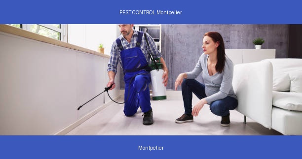 PEST CONTROL Montpelier